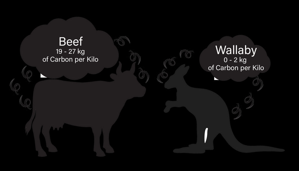 Wallaby talk: Farts, Global Warming and more!